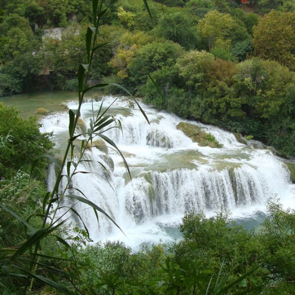 Krka4